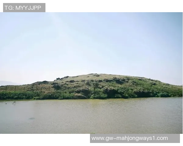 电竞实时数据专家王军揭秘王者荣耀成功背后的秘密与策略